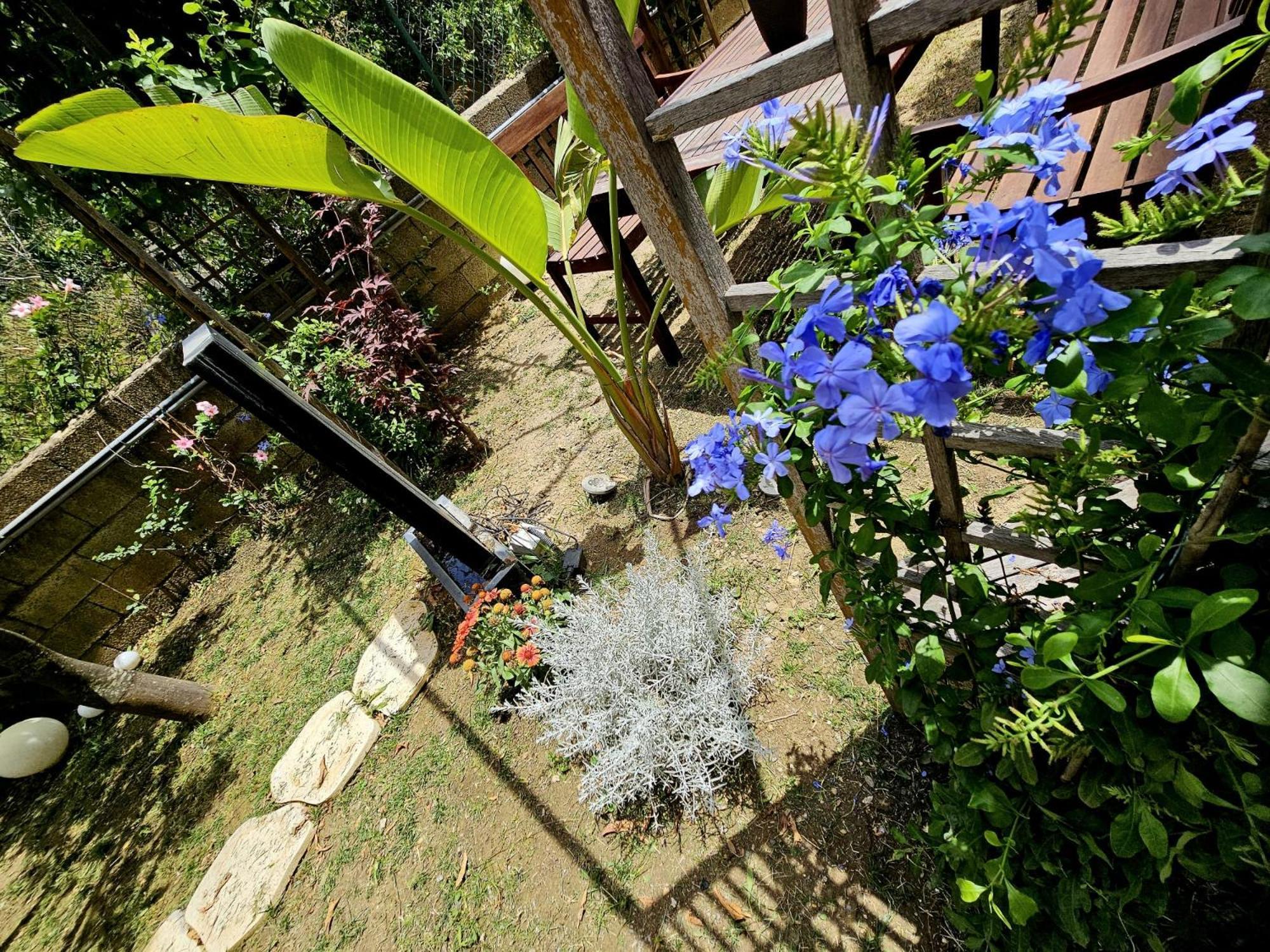PRESTIGE casa vacanze Catanzaro Esterno foto